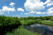 Sommer-Nachmittag / ***