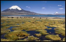 Parinacota Vulkan (2) / ***