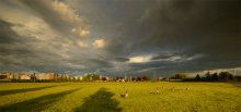 The types of clouds in the sky vag, as well as the direction in which they're moving, can potentiall / ***