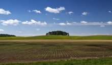 Fields of Belarus / ***