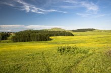 Feld und Wald / ***