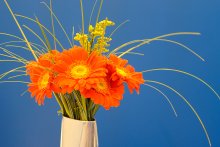 Blumenstrauß aus Gerbera. / ***