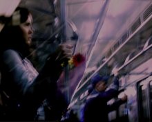Metrorel / ***