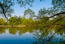 Elninskaya Teiche. / ***