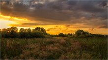 Wiese bei Sonnenuntergang / ---