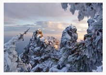 Postkarte zu Weihnachten / ***