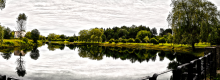 Viehbremse / ***