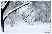 Winter-Allee. / ***