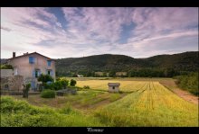 Provence / ***