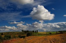 Wolken / ***