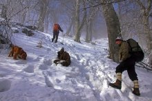 Auf dem Winterwanderweg / ***