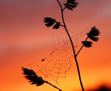 Im Morgengrauen / ***