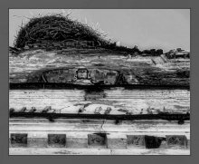 Ohne Titel / ***