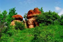 Pilze aus Stein / ***