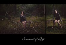 Carnaval Of Rust / ***