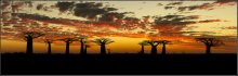 Madagaskar Sunset / ...