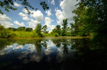 Tickle Cove Pond / Tickle Cove Pond