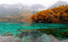 Auf einem Red Cliff (Jiuzhaigou # 8) / ***