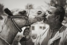 über die Liebe / ***