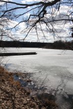 Frühling am Rande des / ***