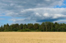 Farben von Smolensk. / ***