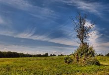 Cirrus ... und einsam ... / ***