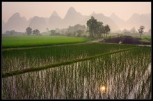 Reisfelder Yangshuo. / ***