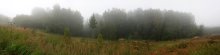 Mist und Wald / ***