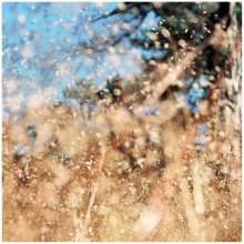 Stimmung: gelb auf blau. / ******