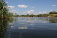 Expanse des Flusses / ***