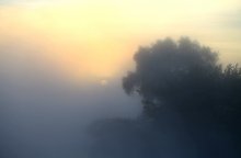 Die Sonne im Nebel ... / ***