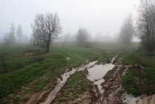 Frühling Nebel auf einer Landstraße. / ***