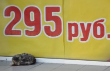 Red Preis ... und die Katze jetzt, wie viel? / ***