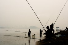 Morgen fishing / ***