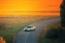 top gear / ***