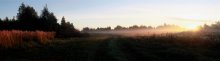 Morgendämmerung / ***