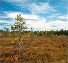 Herbst / ***