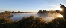 Die Katze auf dem nebligen Fluss ... / ***