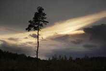 Bei Sonnenuntergang / ***