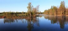 Frühling Blick auf den Teich. / ***