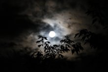 Vollmond / ***