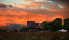 So ist auch .... / ***