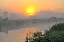 Hinter einem Schleier von Nebel / ***