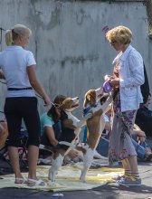 Bei Hund / ***