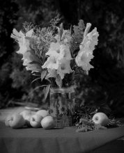Bouquet of Gladiolen / ***