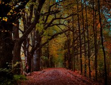 Sukhanovo. Herbst. / ***