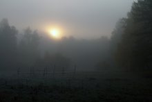 Foggy sunrise / ***