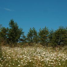 etwas über Sommer / ....