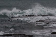 Sturm / ***