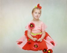 Red Poppy / ***